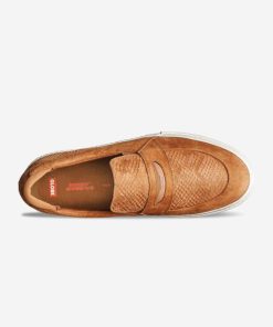 Terraintrend.shop6923169c6e 2